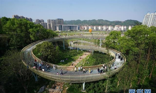 天空步道，“天空中”的森林步道，天空中的森林步道视频图2