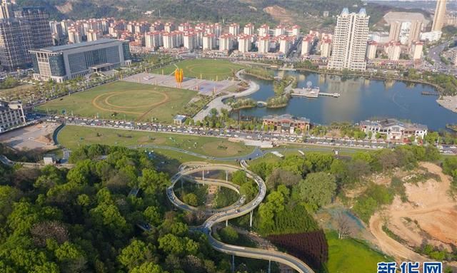 天空步道，“天空中”的森林步道，天空中的森林步道视频图3