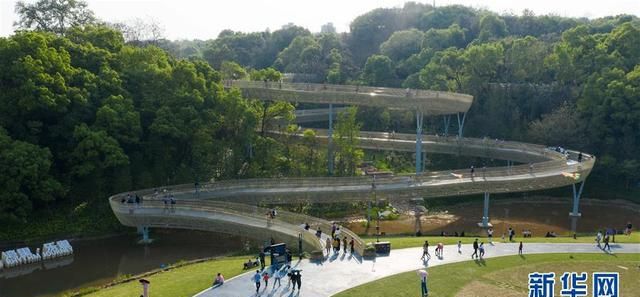 天空步道，“天空中”的森林步道，天空中的森林步道视频图4