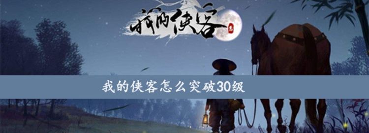 侠义英雄传人物排名，我的侠客怎么突破30级图1