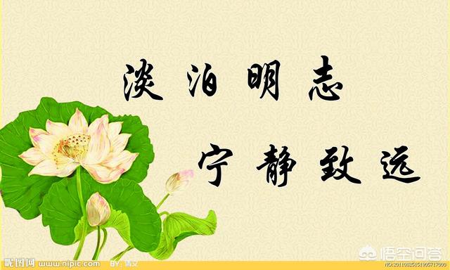 花梨教育app(图5)