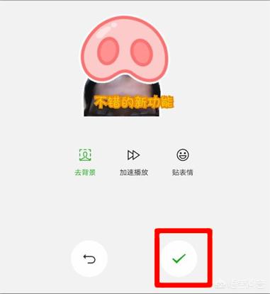 动态表情包diy软件(图13)