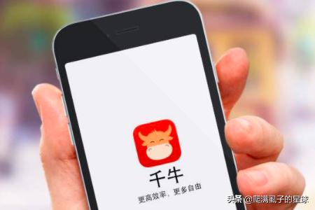 桐云商家版app(图4)