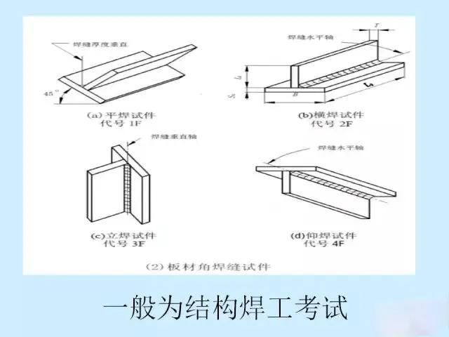 技师高级职称考试宝典app(图4)