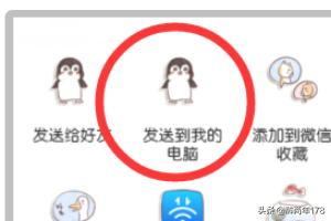 语音导出专家app(图6)