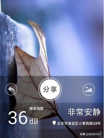 手机分贝仪app(图2)