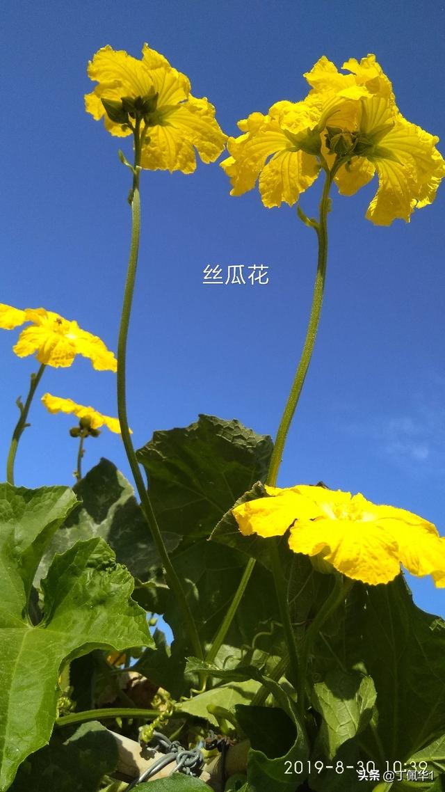 工程相机app(图11)