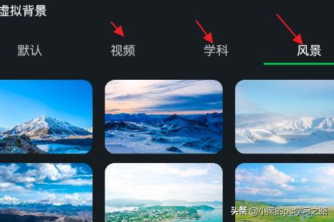 绿幕助手app(图4)