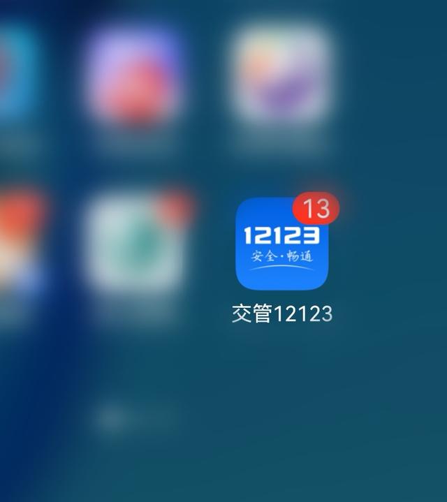 123查违章查询(图2)