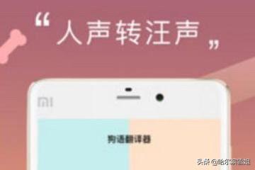 人猫人狗翻译器免费版(图3)