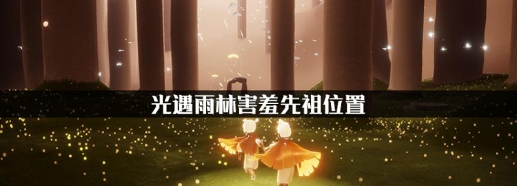 光遇雨林害羞先祖位置，光遇雨林风洞先祖位置图1