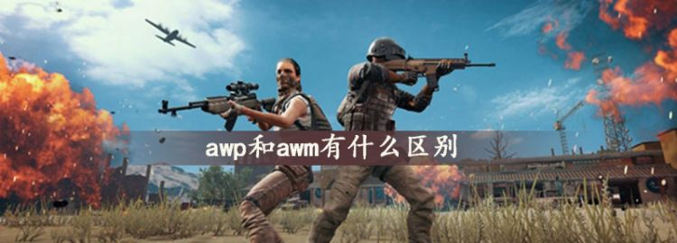 awp和awm有什么区别图1