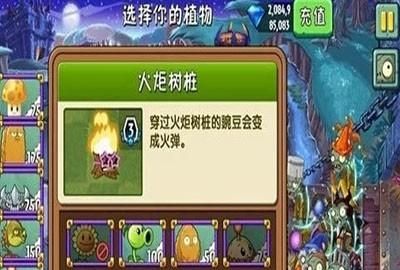 植物大战僵尸2黑暗时代8天困难图14