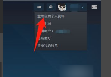 steam怎么隐藏成就动态，steam怎么隐藏自己在玩什么图4