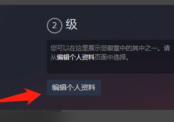 steam怎么隐藏成就动态，steam怎么隐藏自己在玩什么图5