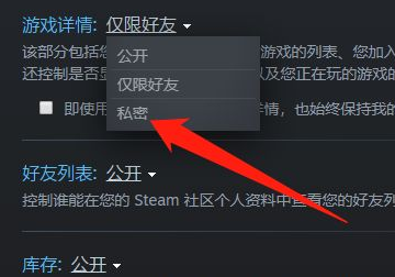 steam怎么隐藏成就动态，steam怎么隐藏自己在玩什么图7