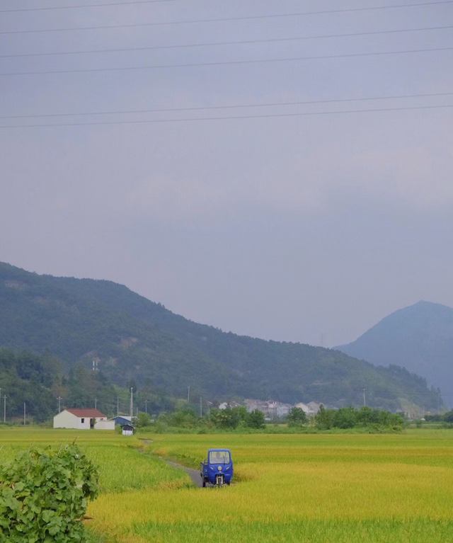 东海岛旅游攻略湖光岩图26