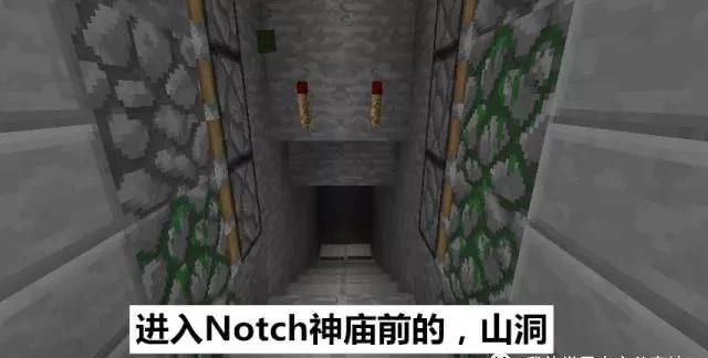 我的世界怎么才能找到notch图8