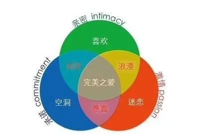 如何理解亲密关系(如何解释亲密关系)图1