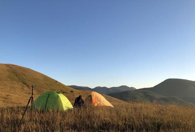 蛇最怕什么在野外碰到蛇该怎么办图8